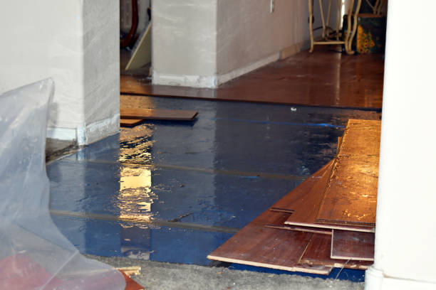 Professional Basement Flood Cleanup technician working in Goshen, KY